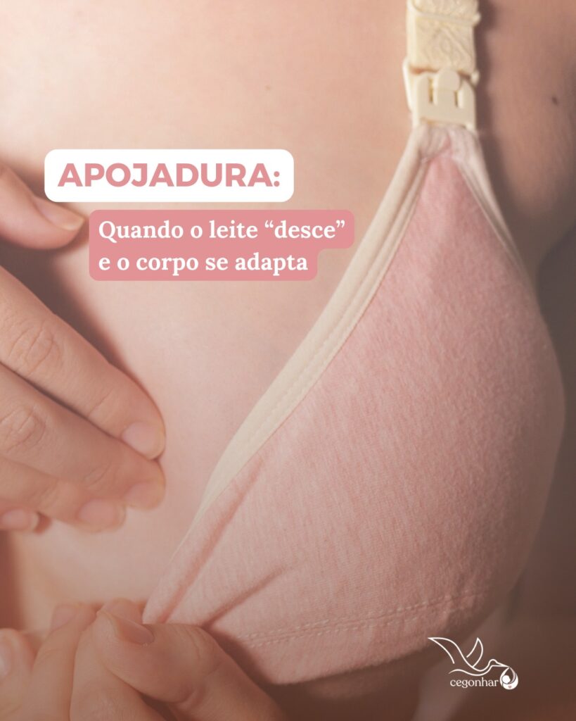 Apojadura: quando o leite “desce” e o corpo se adapta